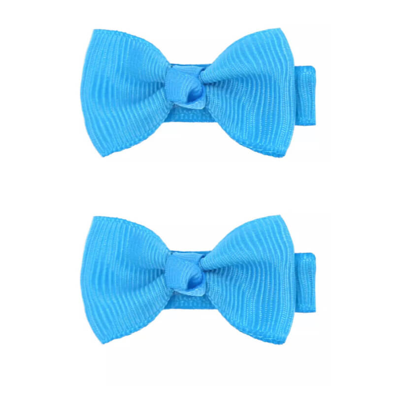 Haarspeldjes: Aqua blauw (2stk)
