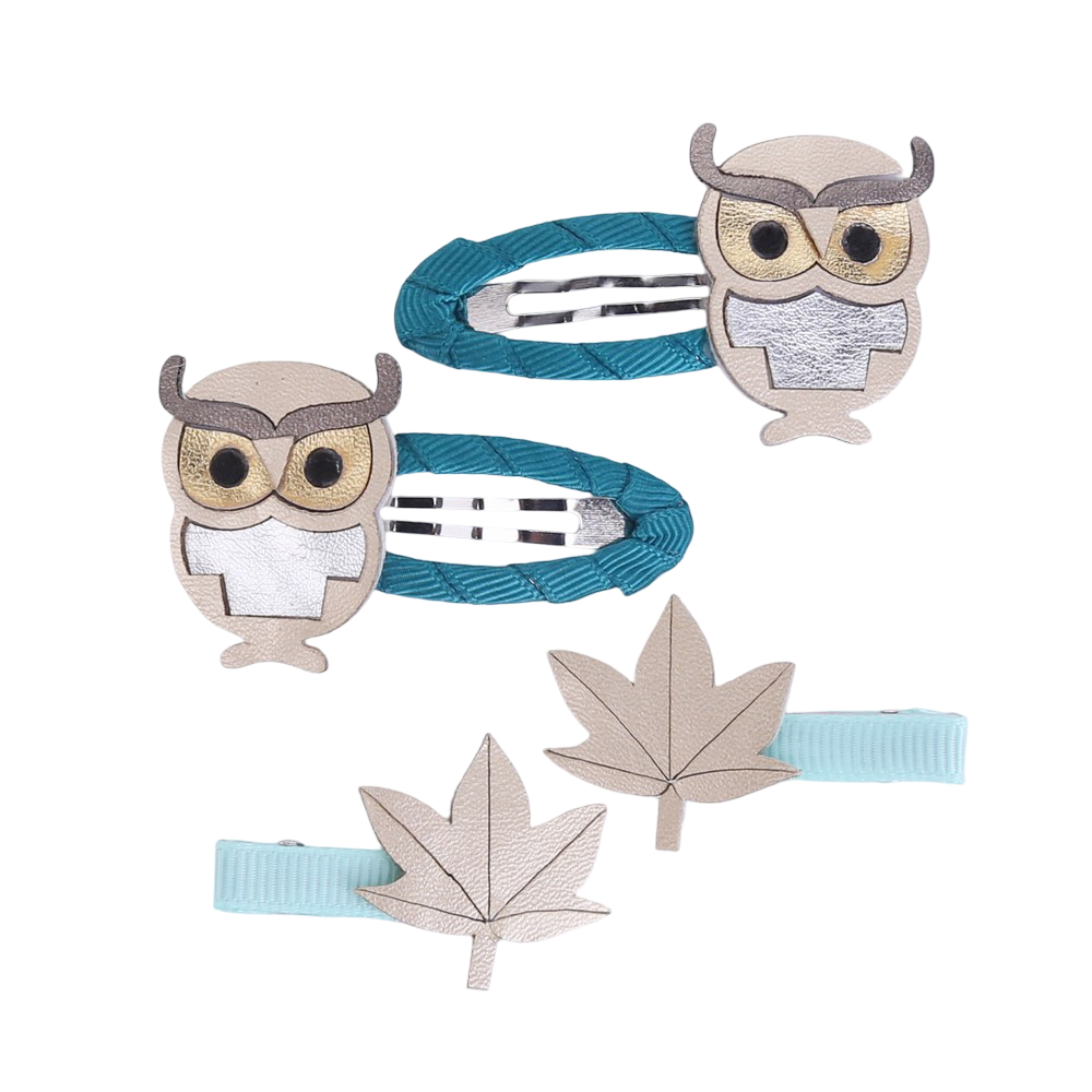 Hairpins: Owls